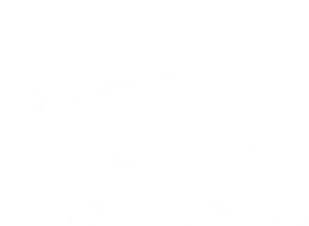 Paddle North