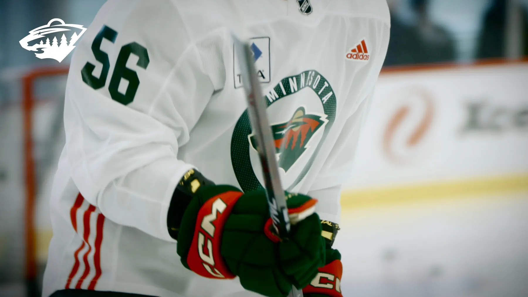MN Wild